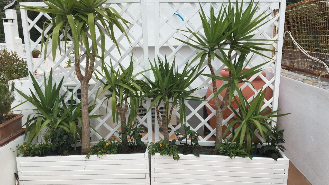 Panorama Da Cartolina Daire Ischia Dış mekan fotoğraf