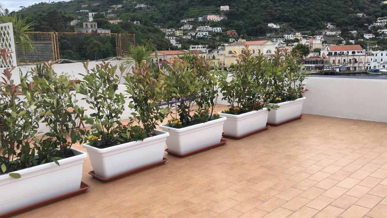 Panorama Da Cartolina Daire Ischia Dış mekan fotoğraf